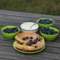 Blueberry 'Bluecrop' 15 Blueberry 'Bluecrop' -Perennials Sales pl0000001890 card8 lg scaled