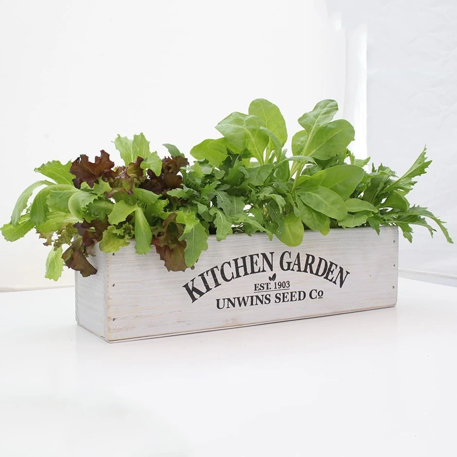 Kitchen Salad Garden Kit 1 Kitchen Salad Garden Kit