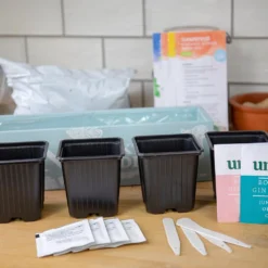 Gin Cocktail Herb Garden Kit -Perennials Sales pl2000023959 card4 lg