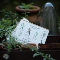 Apothecary Herbs Seed Gift Box -Perennials Sales pl2000024987 card3 lg