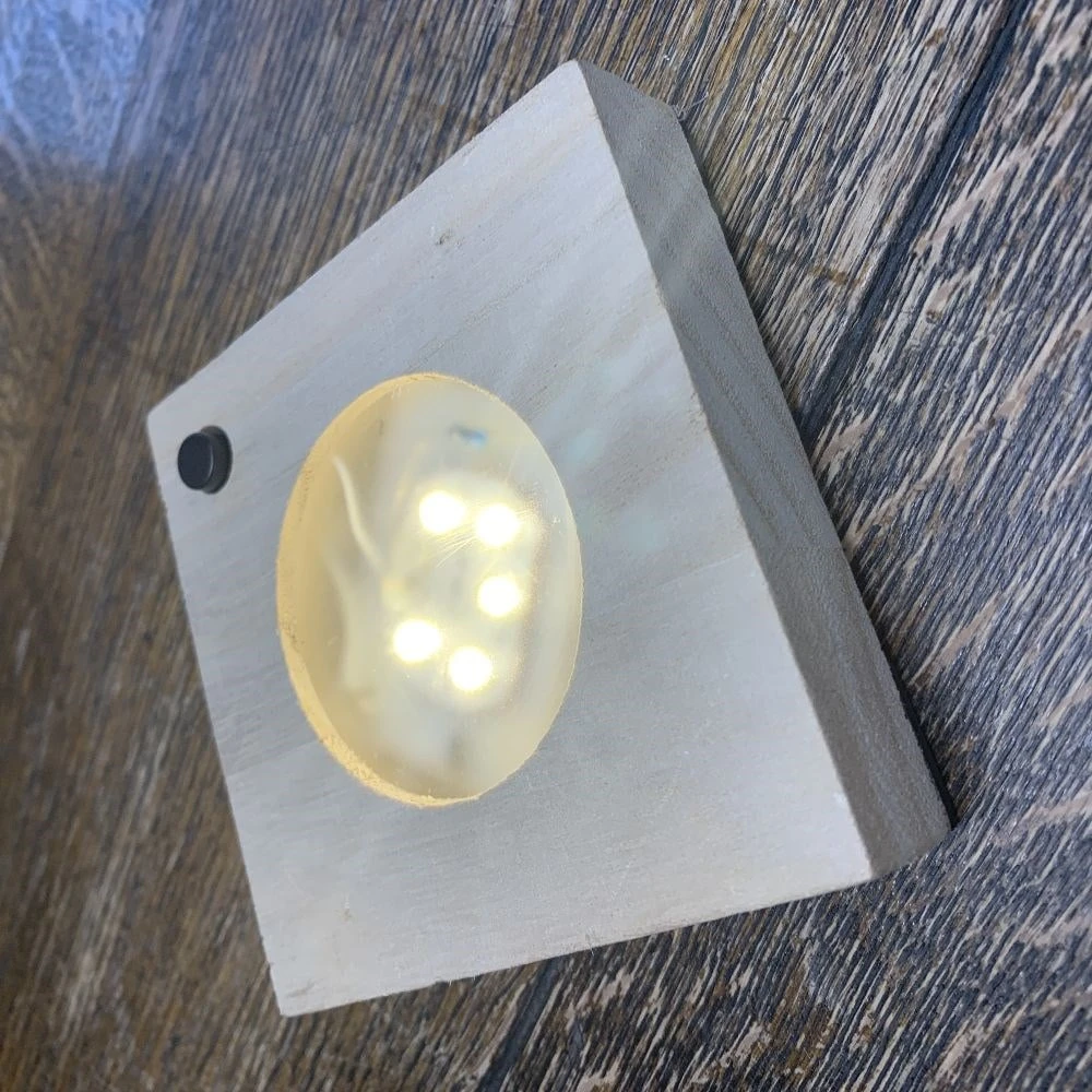 Hydroponic Clusia Rosea 'Princess' (PBR) And LED Light 5 Hydroponic Clusia Rosea 'Princess' (PBR) And LED Light - Image 5