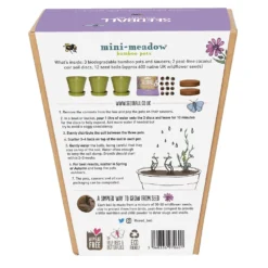 Mini Meadow Seedballs And 3 Bamboo Pots & Saucers 5 Mini Meadow Seedballs And 3 Bamboo Pots & Saucers -Perennials Sales pl2000040778 card7 lg