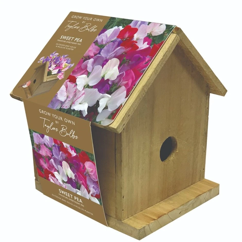 Sweet Pea Birdhouse 1 Sweet Pea Birdhouse