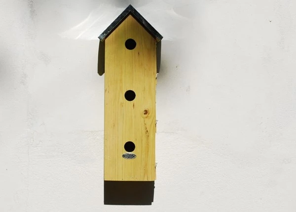 Sparrow Flats 2 Sparrow Flats - Image 2