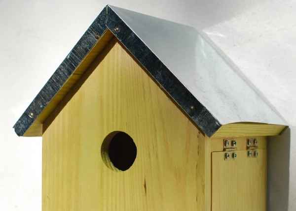 Sparrow Flats 4 Sparrow Flats - Image 4