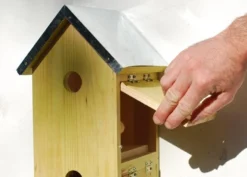 Sparrow Flats 9 Sparrow Flats -Perennials Sales pr2000005252 card5 lg