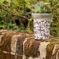 Aged Ceramic Long Tom Pot 6 Aged Ceramic Long Tom Pot -Perennials Sales pr2000008818 card3 lg