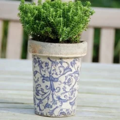 Aged Ceramic Long Tom Pot 7 Aged Ceramic Long Tom Pot -Perennials Sales pr2000008818 card4 lg