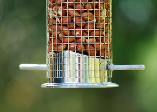 Heavy Duty Nut Feeder 3 Heavy Duty Nut Feeder - Image 3