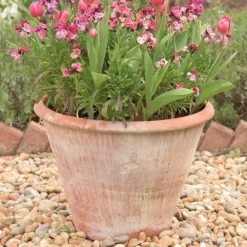 Lucca Terracotta Pot 10 Lucca Terracotta Pot -Perennials Sales pr2000012805 card3 lg