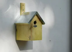 Blue Tit Nesting Box -Perennials Sales pr2000013164 card3 lg