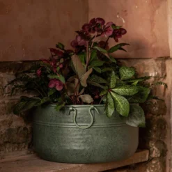 Verdigris Plant Bowl/drink Bucket 10 Verdigris Plant Bowl/drink Bucket -Perennials Sales pr2000016191 card4 lg