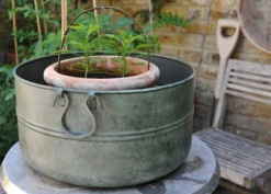 Verdigris Plant Bowl/drink Bucket 13 Verdigris Plant Bowl/drink Bucket -Perennials Sales pr2000016191 card7 lg