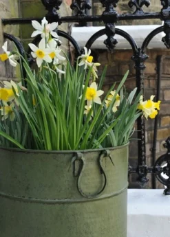 Verdigris Tall Metal Planter 7 Verdigris Tall Metal Planter -Perennials Sales pr2000016192 card3 lg