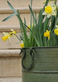 Verdigris Tall Metal Planter 8 Verdigris Tall Metal Planter -Perennials Sales pr2000016192 card4 lg