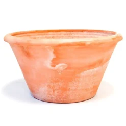 Terracotta Arc Pot -Perennials Sales pr2000016942 card10 lg