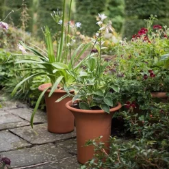 Terracotta Flared Rim Pot 13 Terracotta Flared Rim Pot -Perennials Sales pr2000017350 card5 lg