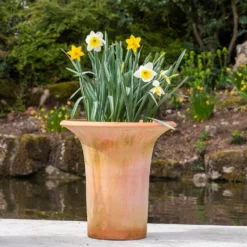 Terracotta Flared Rim Pot 17 Terracotta Flared Rim Pot -Perennials Sales pr2000017350 card9 lg