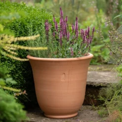 Terracotta Perennial Bell Pot 8 Terracotta Perennial Bell Pot -Perennials Sales pr2000017362 card3 lg