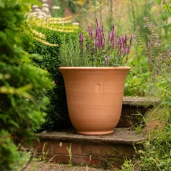 Terracotta Perennial Bell Pot 9 Terracotta Perennial Bell Pot -Perennials Sales pr2000017362 card4 lg