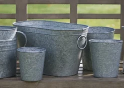 Galvanised Metal Trough -Perennials Sales pr2000026345 card4 lg