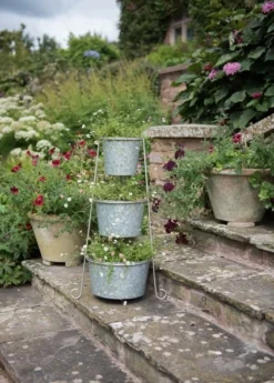 Tiered Corner Stand With Three Galvanised Pots 7 Tiered Corner Stand With Three Galvanised Pots -Perennials Sales pr2000027862 card3 lg
