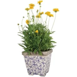 Aged Ceramic Flower Pots - Set Of 3 5 Aged Ceramic Flower Pots - Set Of 3 -Perennials Sales pr2000028008 card3 lg