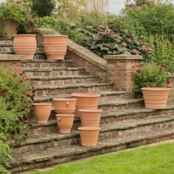 Monachou Terracotta Pot 8 Monachou Terracotta Pot -Perennials Sales pr2000028341 card4 lg