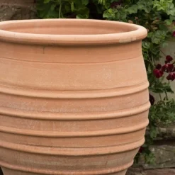 Fraska Terracotta Pot -Perennials Sales pr2000028347 card3 lg