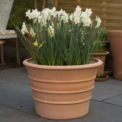 Monachou Fardipati Terracotta Pot 13 Monachou Fardipati Terracotta Pot -Perennials Sales pr2000028348 card7 lg