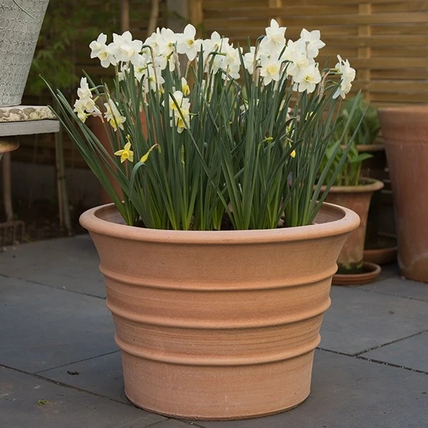 Monachou Fardipati Terracotta Pot 7 Monachou Fardipati Terracotta Pot - Image 7