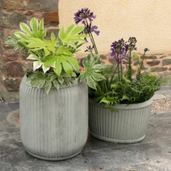 Zinc Dolly Tub Planter -Perennials Sales pr2000028721 card6 lg