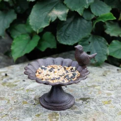 Bird Bath With Bird