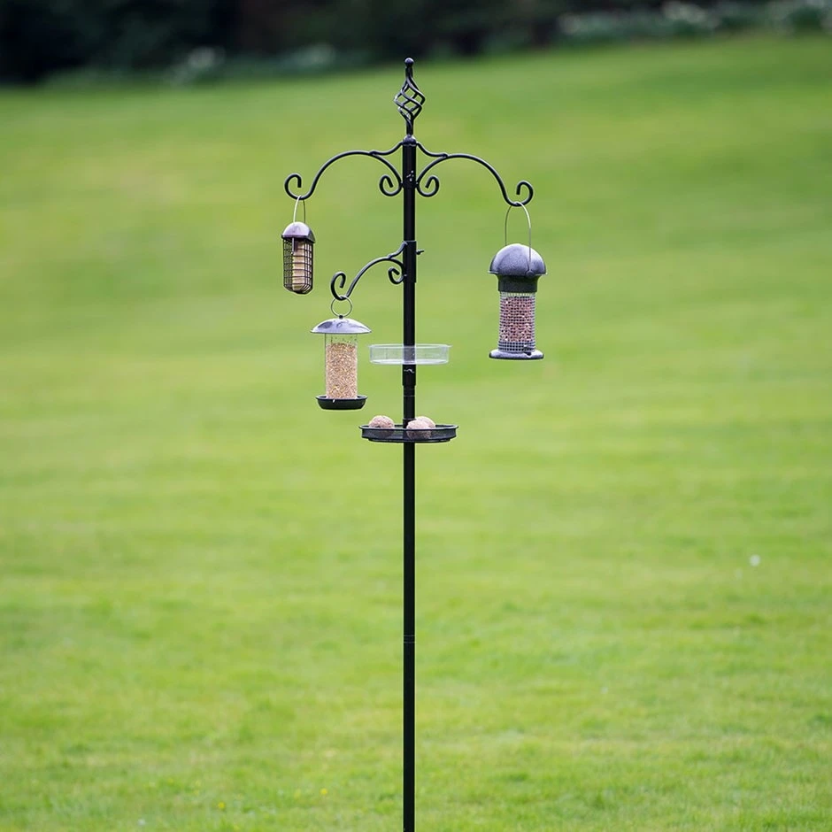 Deluxe Bird Station 1 Deluxe Bird Station