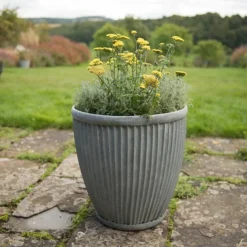 Tall Antique Zinc Dolly Pot 6 Tall Antique Zinc Dolly Pot -Perennials Sales pr2000031491 card3 lg