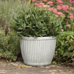Zinc Dolly Pot 11 Zinc Dolly Pot -Perennials Sales pr2000031492 card4 lg