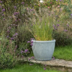 Zinc Dolly Pot 13 Zinc Dolly Pot -Perennials Sales pr2000031492 card6 lg