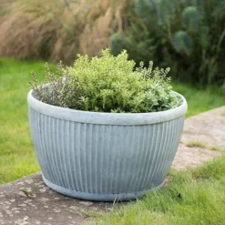 Zinc Dolly Bowl 8 Zinc Dolly Bowl -Perennials Sales pr2000031493 card4 lg