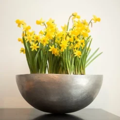 Sphere Plant Bowl 13 Sphere Plant Bowl -Perennials Sales pr2000031495 card6 lg