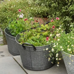 Oval Tub With Handles/drinks Cooler 9 Oval Tub With Handles/drinks Cooler -Perennials Sales pr2000031502 card3 lg