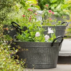 Oval Tub With Handles/drinks Cooler 11 Oval Tub With Handles/drinks Cooler -Perennials Sales pr2000031502 card5 lg