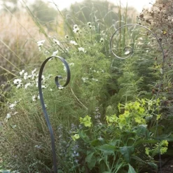 Border Scroll Hook Stake - Large 10 Border Scroll Hook Stake - Large -Perennials Sales pr2000034064 card5 lg