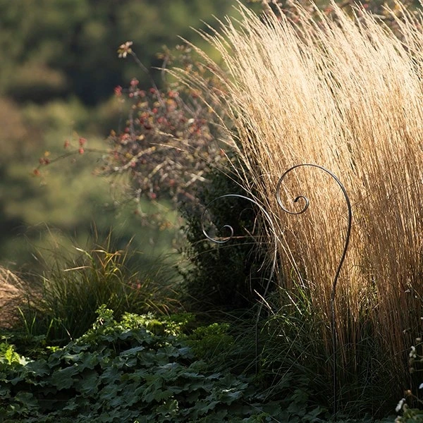 Border Scroll Hook Stake - Small 5 Border Scroll Hook Stake - Small - Image 5