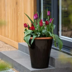 Glazed Terracotta Pot - Black -Perennials Sales pr2000034127 card11 lg