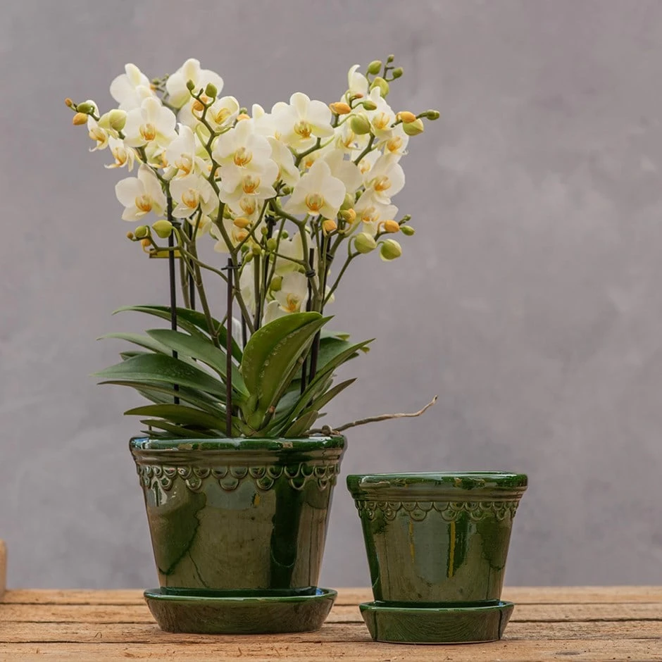 Scalloped Tapered Plant Pot With Saucer - Dark Green 1 Scalloped Tapered Plant Pot With Saucer - Dark Green