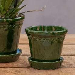 Scalloped Tapered Plant Pot With Saucer - Dark Green 6 Scalloped Tapered Plant Pot With Saucer - Dark Green -Perennials Sales pr2000035578 card3 lg