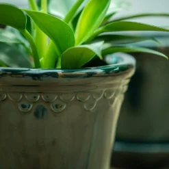 Scalloped Tapered Plant Pot With Saucer - Dark Blue 7 Scalloped Tapered Plant Pot With Saucer - Dark Blue -Perennials Sales pr2000035580 card4 lg