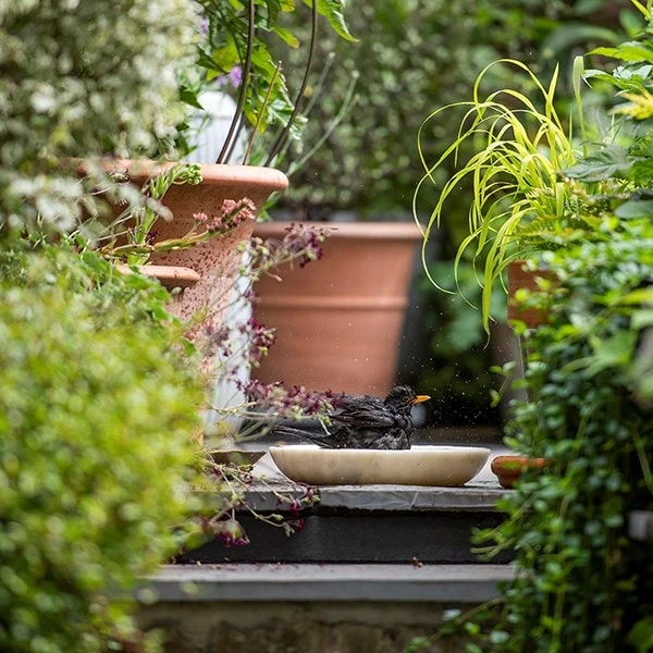 Turned White Marble Bird Bowl 2 Turned White Marble Bird Bowl - Image 2
