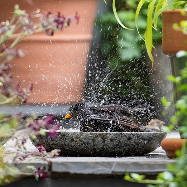Turned Green Marble Bird Bowl 2 Turned Green Marble Bird Bowl - Image 2