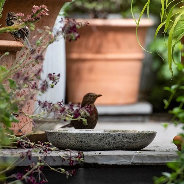 Turned Green Marble Bird Bowl 4 Turned Green Marble Bird Bowl - Image 4